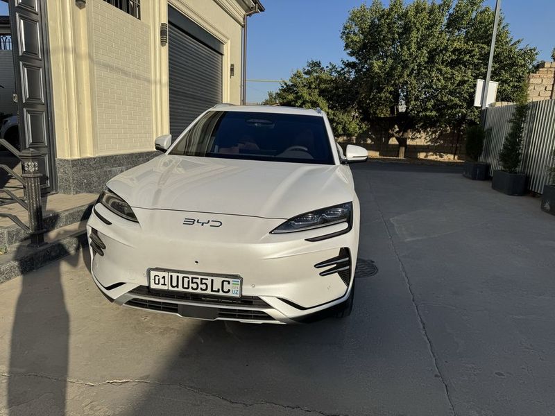 Byd Champion Smart