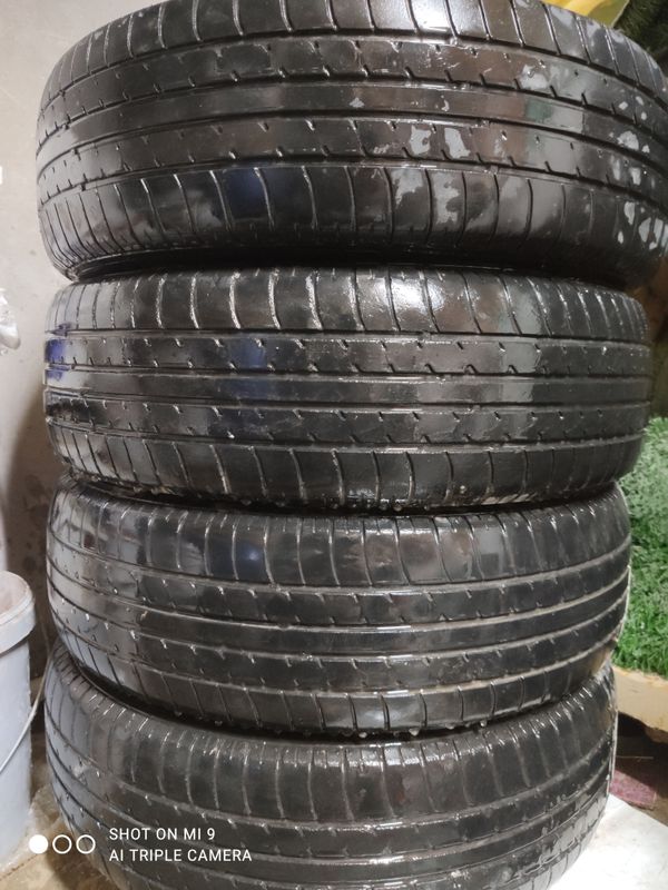 cobalt 14 lik balon pili 800 ming som tortisi cobalt 14 lik balon pili 800 ming som tortisi