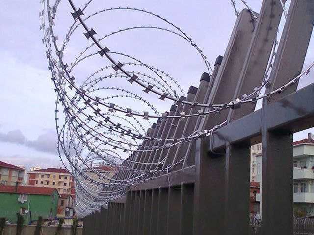 Ҳимоя учун тиконли симлар, Эгоза, Игоза Ҳимоя учун тиконли симлар, Эгоза, Игоза