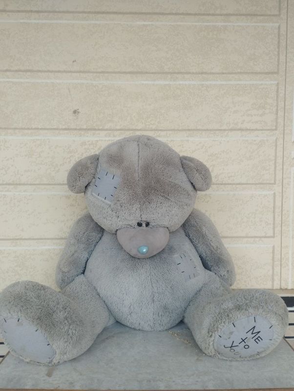 Teddy ayiq sotiladi Teddy ayiq sotiladi