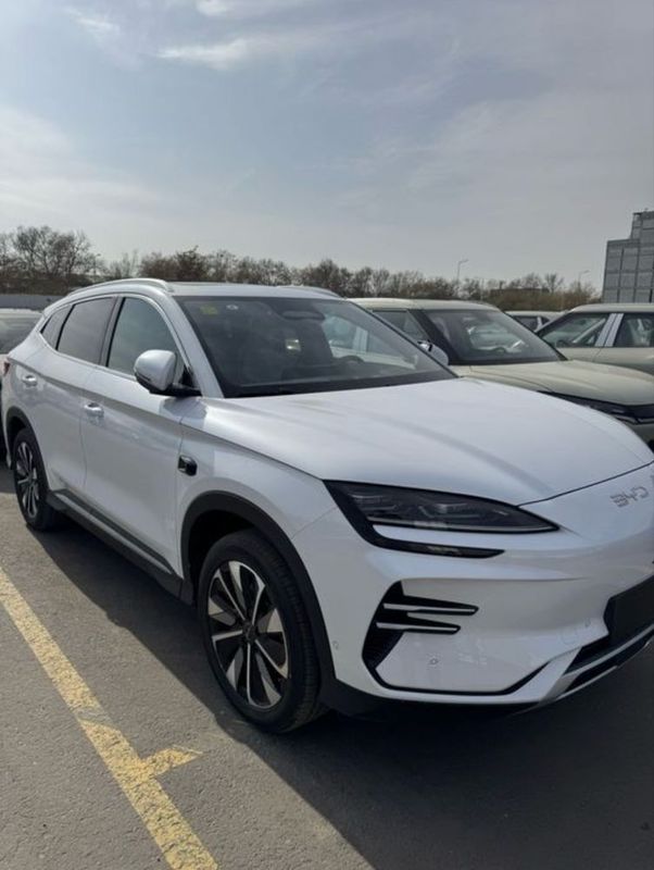 Byd champion 2025 restayl new Byd champion 2025 restayl new