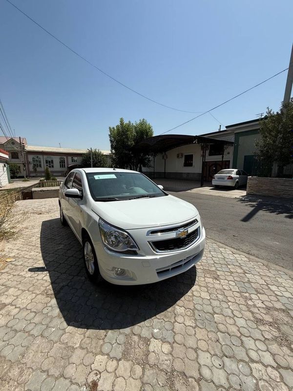 Cobalt stayl arginali 2025 Cobalt stayl arginali 2025