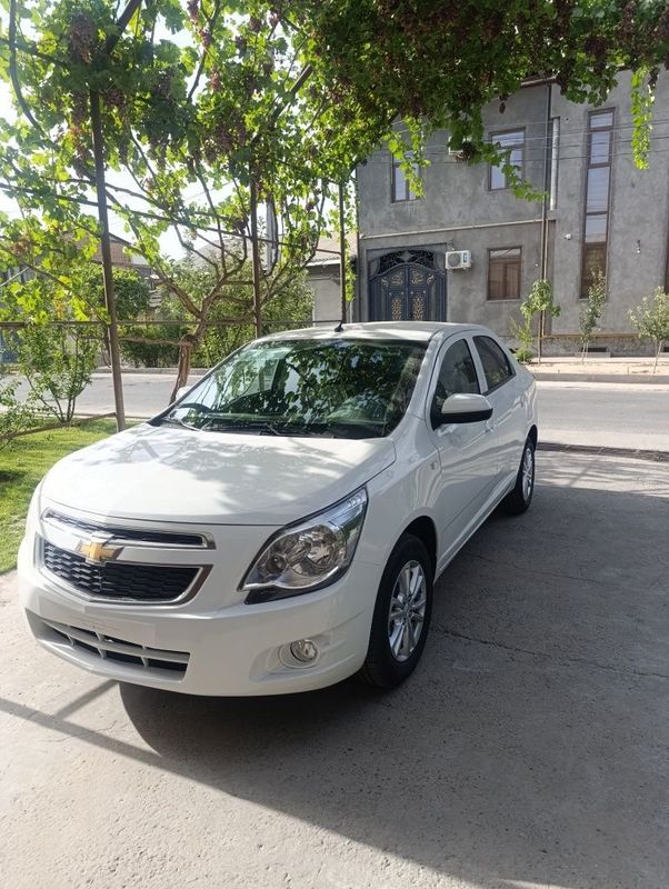 Cobalt stayl 2025 Cobalt stayl 2025