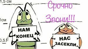 Дезинфекция!Низкие цены!Уничтожение ТАРАКАНОВ, КЛОПОВ, БЛОХ ПР