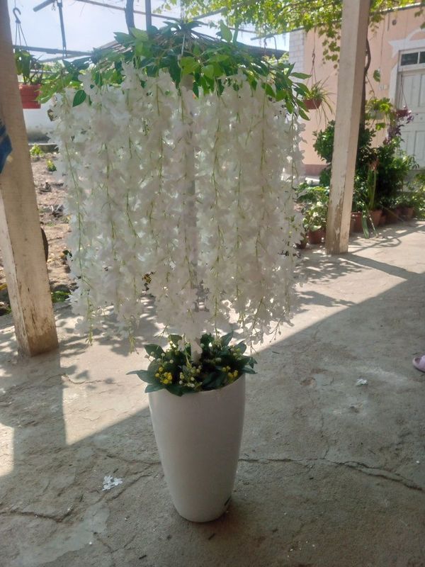 Katta suniy gullar Katta suniy gullar