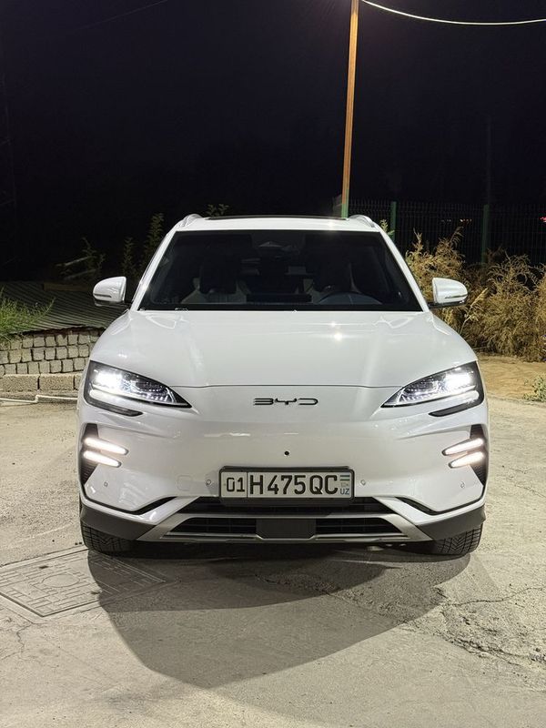 BYD Chempion 2024 honor BYD Chempion 2024 honor