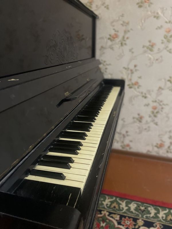 Pianina belarus sotiladi