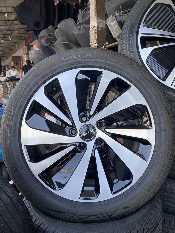 Byd chempion zapaska