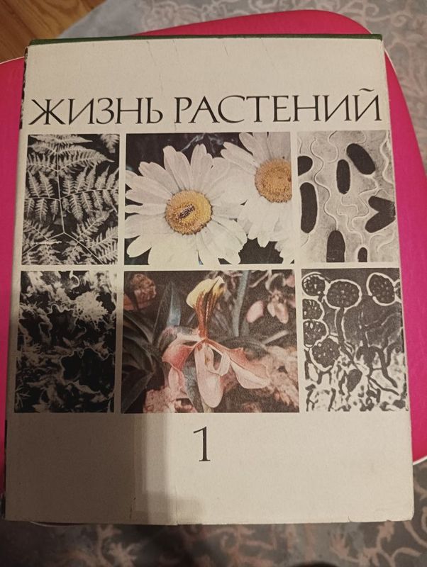 Энциклопедия в 7 томах Энциклопедия в 7 томах