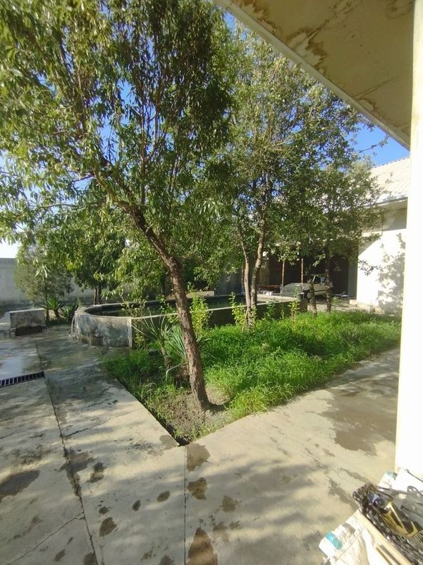 Quqon Garadokda Hovli (6 sotix)