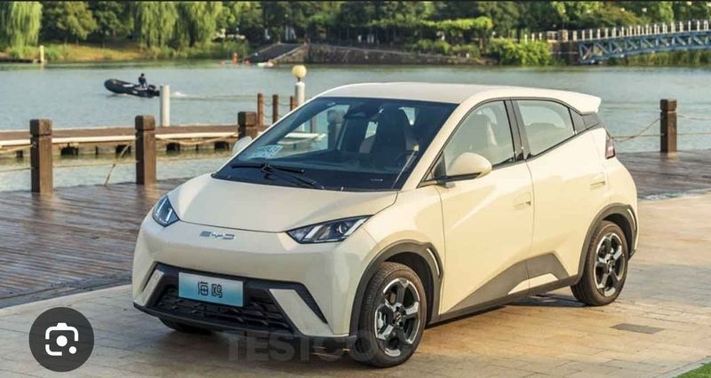 Byd seagull nasiyaga va naqtga Byd seagull nasiyaga va naqtga