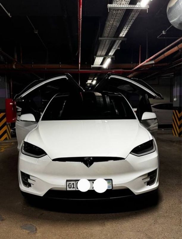 TESLA MODEL X 2017 $29,900 TESLA MODEL X 2017 $29,900