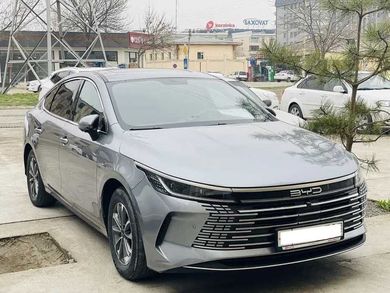 BYD Chazor 2 pazidsa yillik 12% ga