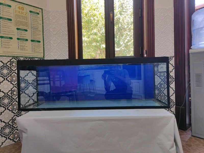 аквариум