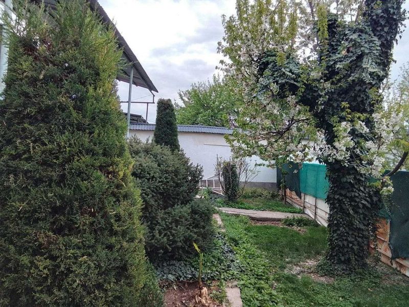 Салом Чайхана 6 соток Салом Чайхана 6 соток