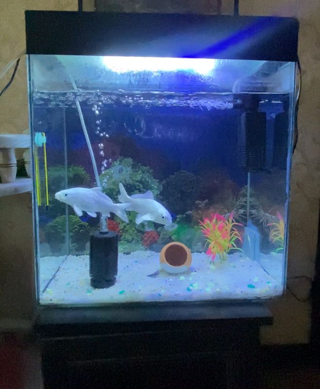 AKVARIUM SOTILADI 70litr AKVARIUM SOTILADI 70litr