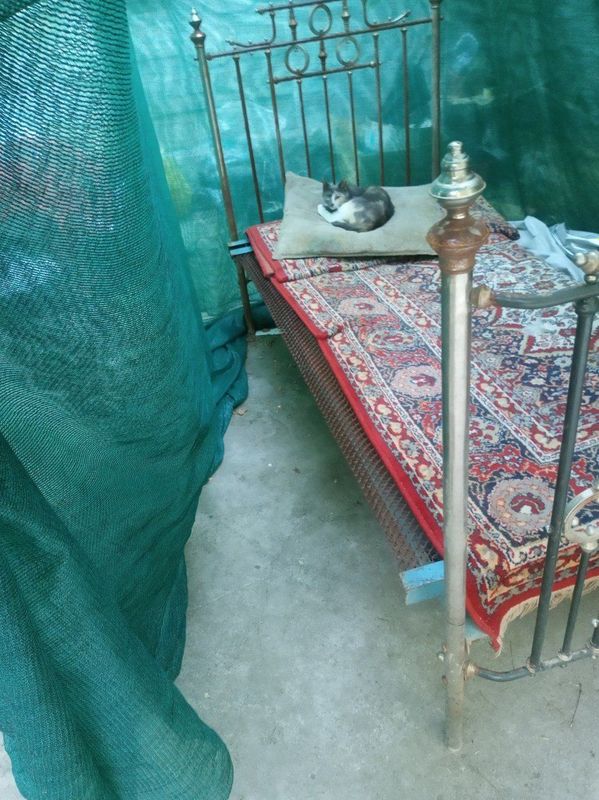 Железная кровать Железная кровать