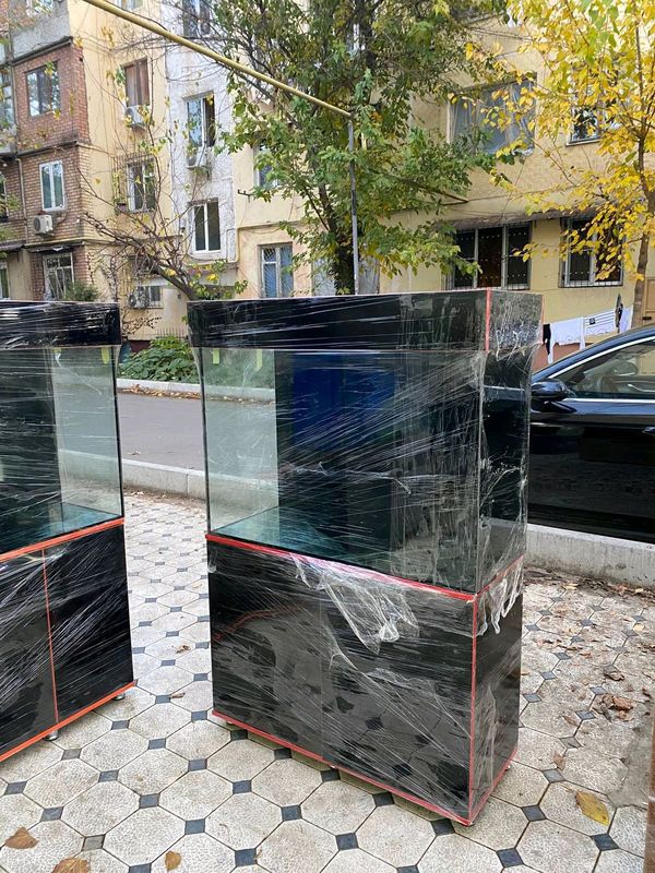 аквариум аквариум