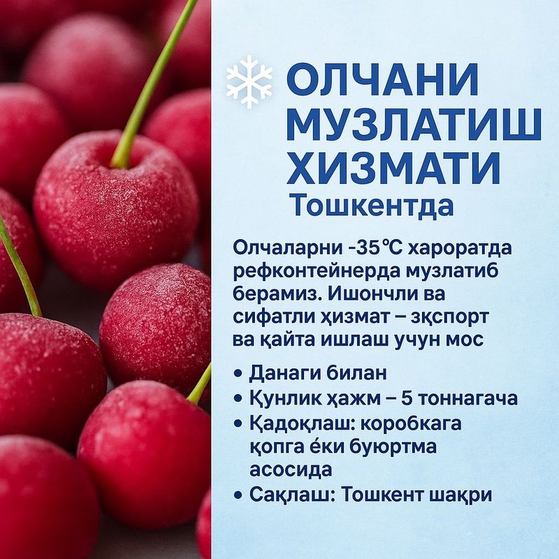 олчани музлатиш хизмати / услуга замарожки вишни Олчаларни -35°C ҳар олчани музлатиш хизмати / услуга замарожки вишни Олчаларни -35°C ҳар