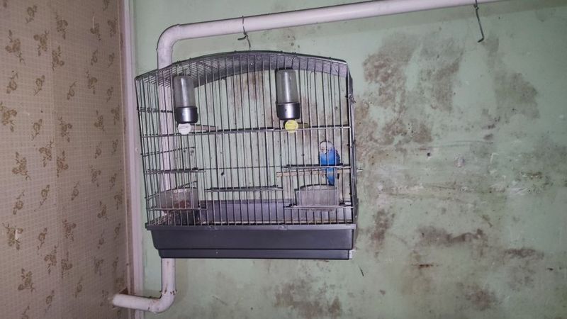 Попугай кафаси бн сотилади Попугай кафаси бн сотилади