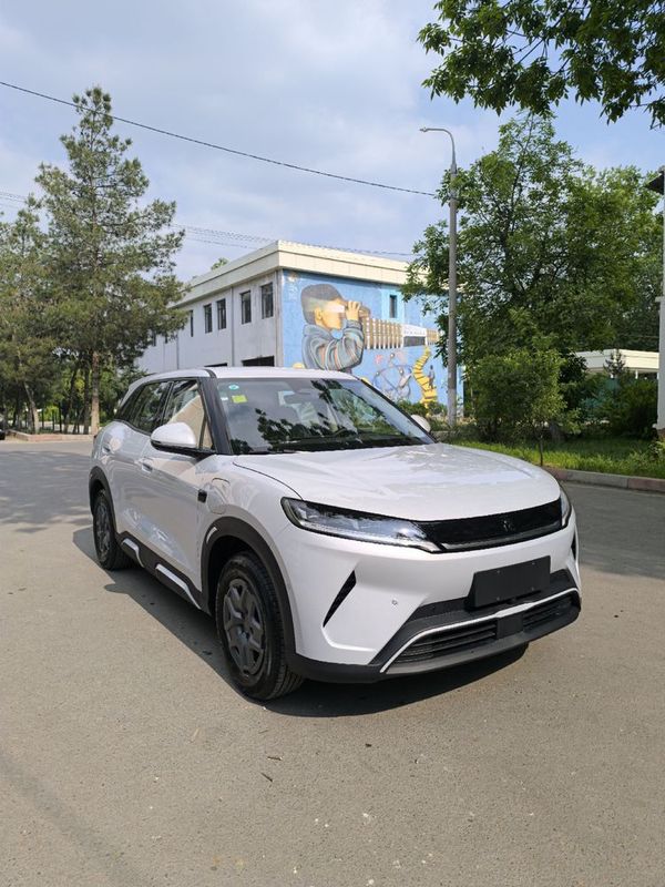 Yuan Up 401km smart Yuan Up 401km smart