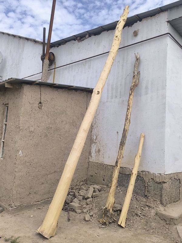 Aq terek bar satiladi Aq terek bar satiladi