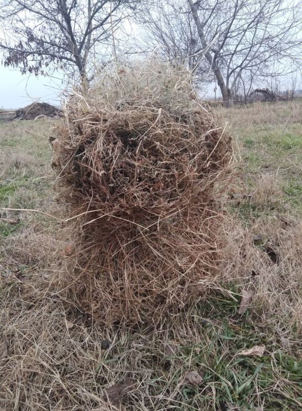 Беда сотилади 18 000 сум реални. Оладиган болса келишамиз